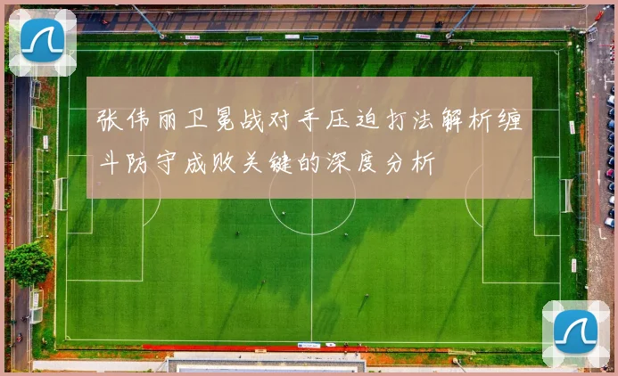 张伟丽卫冕战对手压迫打法解析缠斗防守成败关键的深度分析